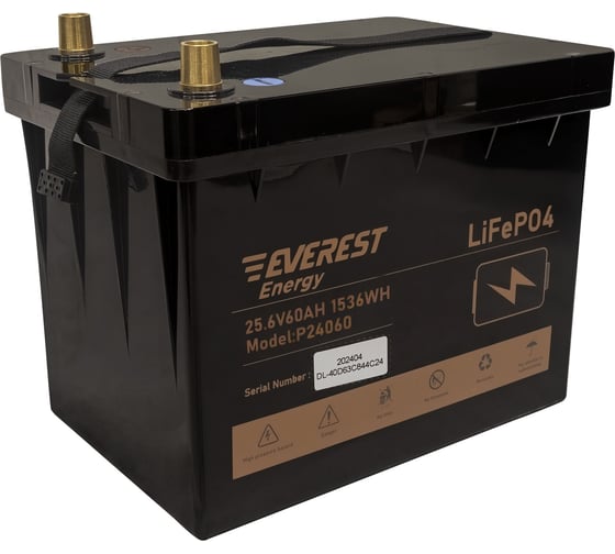 Аккумулятор EVEREST LiFePO4 24V60Ah + LCD + Bluetooth Energy P24060