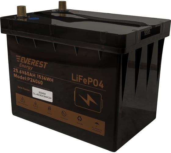 Аккумулятор EVEREST LiFePO4 24V60Ah + LCD + Bluetooth Energy P24060