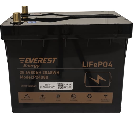 Аккумулятор EVEREST LiFePO4 24V80Ah + LCD + Bluetooth Energy P24080
