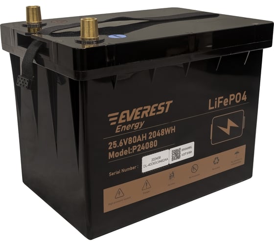 Аккумулятор EVEREST LiFePO4 24V80Ah + LCD + Bluetooth Energy P24080