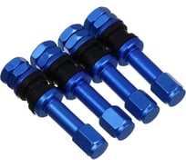 Вентиль для бескамерных шин GALAXY NG 4 шт (№1) 754-039