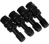 Вентиль для бескамерных шин GALAXY NG 4 шт (№3) 754-041