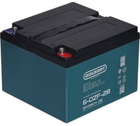 Аккумулятор тяговый GELBERT, 6-DZF-28 (12V33A/H C5) 0000041