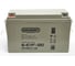 Аккумулятор тяговый GELBERT, 6-EVF-120 (12V126A/H C5) 0000043 3