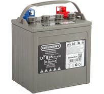Аккумулятор тяговый GELBERT, WET DT876 (T-875) 8V145A/H C5 0000114