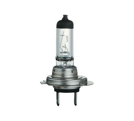 Галогенная лампа SCT H7 Basic, 12 В, 55 Вт, PX26d 202907 1