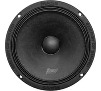 Акустика эстрадная AMP MASS FR65P120 4ом, широкополосная В0000050630