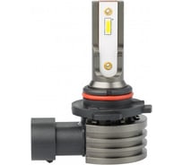 Лампа Optima Light H10 LED ZRK-22, 5500K, 12V, комплект 2 шт Z-H10