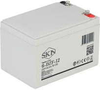 Тяговый аккумулятор SKN 6-DZF-12 (12V14.5A/H C5) 025383