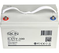 Тяговый аккумулятор SKN 6-EVF-100 (12V105A/H C5) 025387