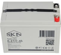 Тяговый аккумулятор SKN 6-EVF-45 (12V47.5A/H C5) 025389