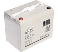 Аккумулятор тяговый 6-EVF-80 (12V84A/H C5) SKN 0000062