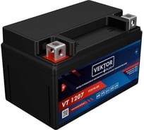 Аккумуляторная батарея VEKTOR PLUS VT 1207 Vektor Energy 19269