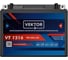 Аккумуляторная батарея VEKTOR PLUS VT 1216 Vektor Energy 19344 3