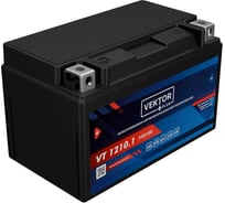 Аккумуляторная батарея VEKTOR PLUS VT 1210.1 Vektor Energy 19313