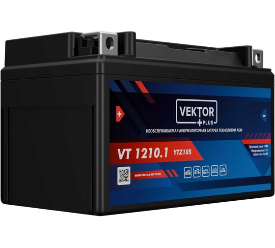 Аккумуляторная батарея VEKTOR PLUS VT 1210.1 Vektor Energy 19313