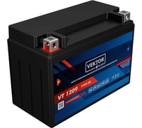 Аккумуляторная батарея VEKTOR PLUS VT 1209 Vektor Energy 19290
