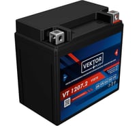 Аккумуляторная батарея VEKTOR PLUS VT 1207.2 Vektor Energy 19283