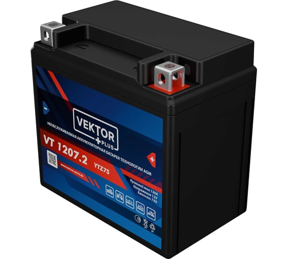 Аккумуляторная батарея VEKTOR PLUS VT 1207.2 Vektor Energy 19283