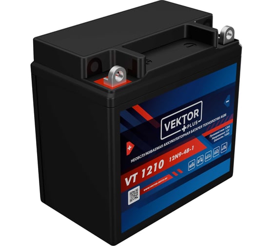 Аккумуляторная батарея VEKTOR PLUS VT 1210 Vektor Energy 19306