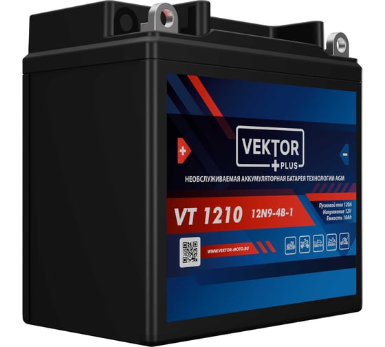 Аккумуляторная батарея VEKTOR PLUS VT 1210 Vektor Energy 19306