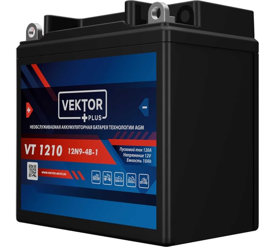 Аккумуляторная батарея VEKTOR PLUS VT 1210 Vektor Energy 19306