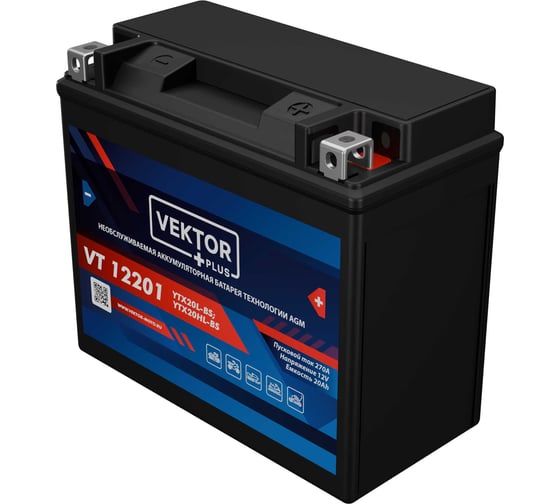 Аккумуляторная батарея VEKTOR PLUS VT 12201 Vektor Energy 19375