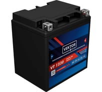 Аккумуляторная батарея VEKTOR PLUS VT 1230 Vektor Energy 19382