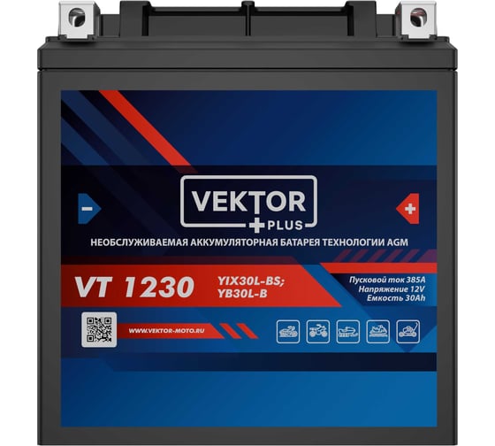 Аккумуляторная батарея VEKTOR PLUS VT 1230 Vektor Energy 19382