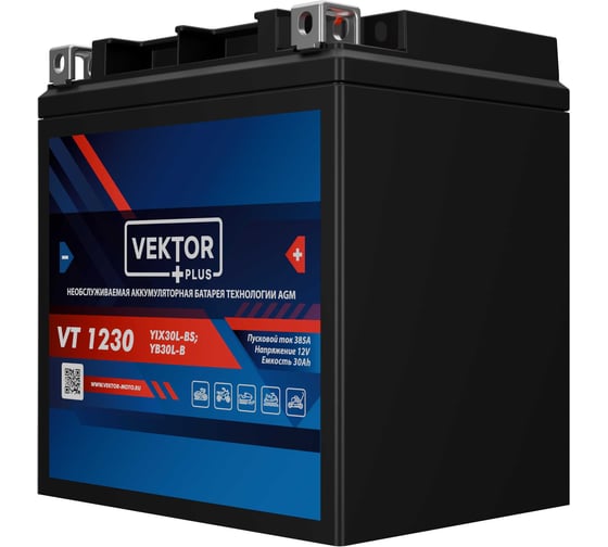 Аккумуляторная батарея VEKTOR PLUS VT 1230 Vektor Energy 19382