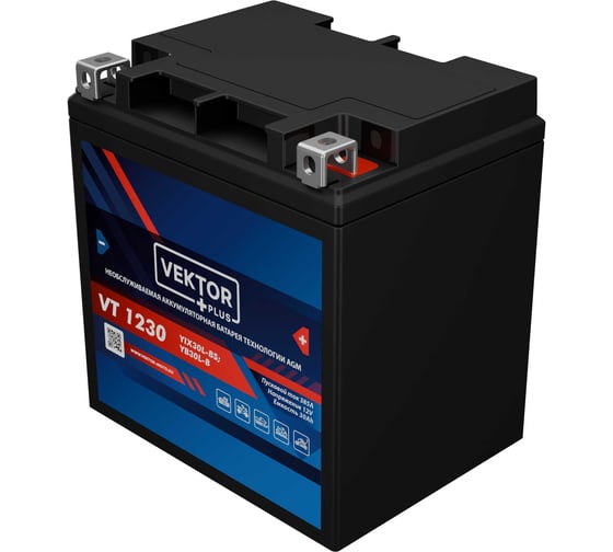 Аккумуляторная батарея VEKTOR PLUS VT 1230 Vektor Energy 19382