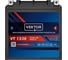 Аккумуляторная батарея VEKTOR PLUS VT 1230 Vektor Energy 19382 3