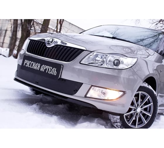 Защитная сетка Русская Артель для Skoda Fabia II 2010-2013 г.в. SBSF2-046702