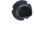 Галогенная лампа TORSO HB5, 3300 K, 12 В, 100/80 Вт 1066735 2