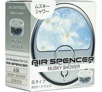 Ароматизатор EIKOSHA SPIRIT MUSKY SHOWER A-56 меловой 101222