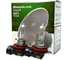 Лампа галогенная Excelite H11 LL 12V 55W PGJ19-2 2 шт 11403C 2