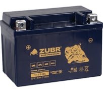 Аккумуляторная батарея ZUBR Мотоаккумулятор 12V 9 Ah BIKE PREMIUM YTX9-BS L+, для мотоцикла, скутера, гидроцикла, квадроцикла, снегохода и генератора 150x86x105 YTX9-BS (ZubrPrem)