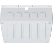 Защита картера + комплект крепежа Rival Алюминий, BYD Song Pro, V - 1.5. CVT, передний, 2024- 333.0706.1