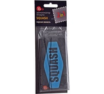 Подвесной ароматизатор RED SQUASH R2309