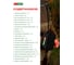Аптечка туристическая укомплектованная SOPKA ENDURO Black 9831 2