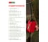 Аптечка туристическая укомплектованная SOPKA ENDURO Red 9830 2