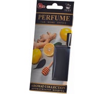 Подвесной ароматизатор RED BLUE №17 R2117