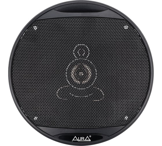 Автоакустика AurA STORM-653