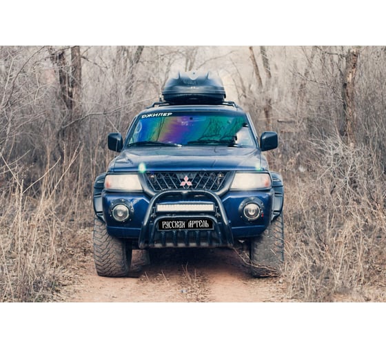 Подиумы противотуманных фар Русская Артель Mitsubishi Pajero Sport 1998-2004 EM-195102