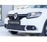 Защитная сетка Русская Артель для Renault Sandero 2014- г.в. SBRS2-046602 1