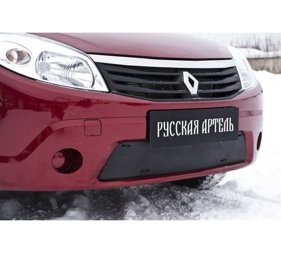 Защитная сетка Русская Артель для Renault Sandero 2009-2013 г.в. SBRS2-046502