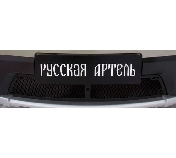 Защитная сетка Русская Артель для Renault Sandero Stepway 2009-2013 г.в. SRR-134052
