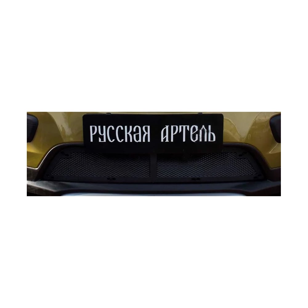 Защитная сетка Русская Артель для Renault Sandero Stepway 2014-2017 г.в ...