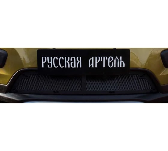 Защитная сетка Русская Артель для Renault Sandero Stepway 2014-2017 г.в. (II дорест.) SRR-134062 1