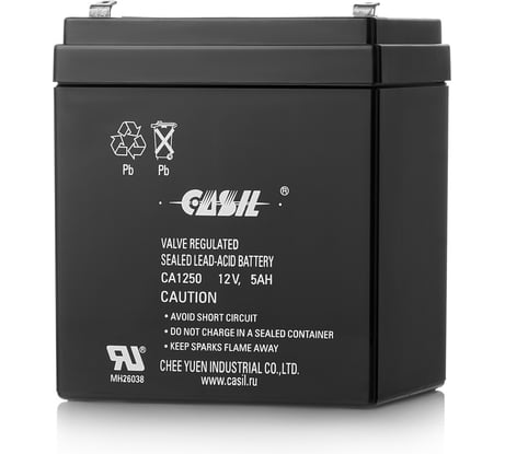 Аккумуляторная батарея CASIL CA1250 F2 10601031